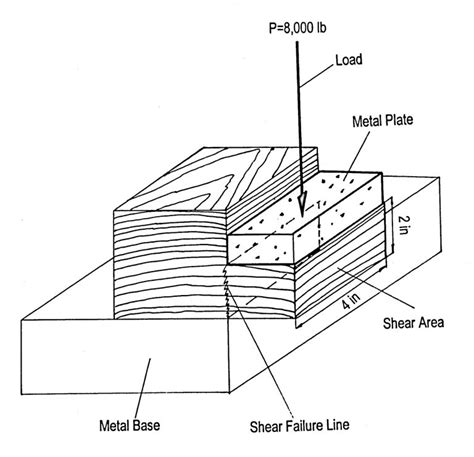 Strength Properties of Wood and Wood